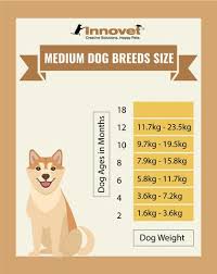 Puppy Growth Chart By Month Breed Size With Faq All You