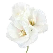Pin On Wedding Bouquet