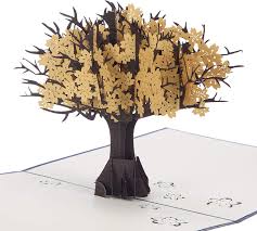 C'est permis quand on a 18 ans. Cardology Carte 3d Pour Noces D Or 50e Anniversaire De Mariage Faite A La Main Amazon Fr Fournitures De Bureau