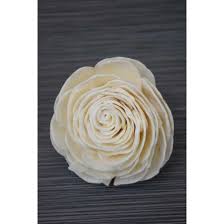 Highly regarded flower shop serving chula vista, bonita, and we deliver to bonita, chula vista, eastlake, san diego, coronado, national city, spring valley, lemon grove, la mesa, san ysidro, and many. Sola Wood Beauti Rose Wood Roses Sola Flowers