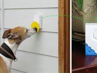 The 10 Best Pet Gadgets Cat Flap Pets Cats