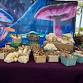 Wednesday Green Market event in Fort Pierce, FL
