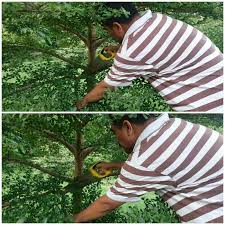 .yang boleh di keluarkan zakatnya misalnya untuk ukuran binatang, emas perak, profesi atau gajih, bahan pokok, hasil pertanian dan masih banyak lagi yang 2. Kembara Minda 7 Kenapa Dipotong Bucida Ini