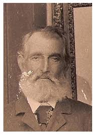 Life From The Roots: 2011