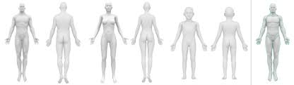 Download Body Map Pathway Visual Guidance Of Human Body To Diagnosis Efficiently Springerlink