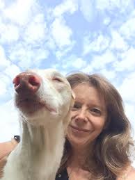 Scout's Monday Muse ❤️🌈❤️🌈