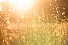 Let your soul shine as bright as thd dun quote. 55 Best Shine Quotes And Sayings For The Brightest Light By Kidadl
