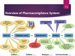 Pharmacovigilance Process Work Flow Katalyst Hls