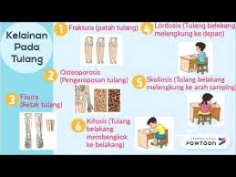Eksternal, internal, dan basis cairan (rangka hidrostatik), sistem rangka hidrostatik bisa untuk dikelompokkan secara terpisah dari. Tema 1 Kelas 5 Organ Gerak Hewan Dan Manusia Youtube