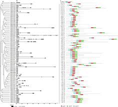 Seriously i have to get back on my way. Identification And Expression Analysis Of The Small Auxin Up Rna Saur Gene Family In Apple By Inducing Of Auxin Sciencedirect