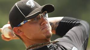 The Tao of a slim Blue Jay Brett Cecil