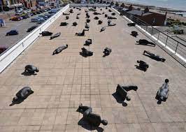 This strong indica can be a perfectly relaxing strain for the end of the day. Antony Gormley Critical Mass Antony Gormley Gormley Installation Art