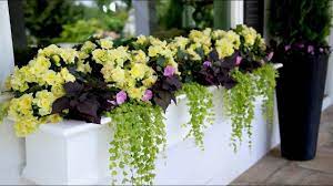 How to arrange flowers in a window box. Enjoy Your Flowers From The Inside With A Window Box Youtube