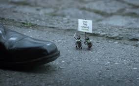 Epingle Sur Greenpeace
