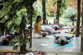 We offer classes and workshops for beginning, intermediate and advanced yoga students, including vinyasa yoga, hatha yoga, yin yoga, kundalini yoga and yoga nidra. Mexico Sadhana Now