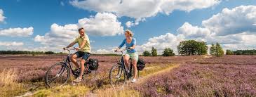 Radtouren Touren Bilder Mehr Outdooractive Com