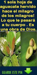 Pin En Plantas Medicinales