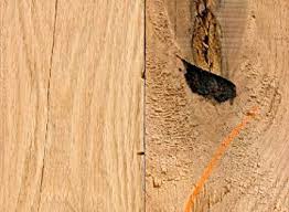 Check spelling or type a new query. Lumber Liquidators 10010209 3 4 X 4 Oak Flooring Hardwood Flooring 1 00 Square Feet Per Box Oak Wood Floor Coverings Amazon Com