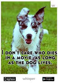 Pin By Jessica Lynne Merly On Badass Shit Funny Animals I Love Dogs Cute Animals