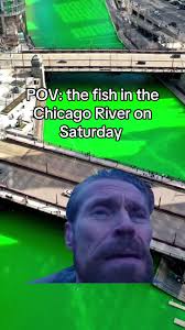 The Fish in The Chicago River Meme