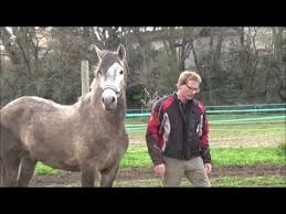 Epingle Sur Cheval