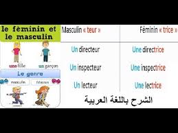 Le Masculin Et Le Feminin التحويل من المذكر للمؤنث في اللغة الفرنسية الشرح بالعربية Youtube