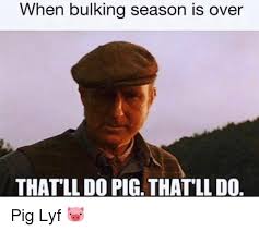 25 Best Memes About Thatll Do Pig Thatll Do Thatll Do Pig Thatll Do Memes