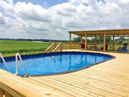 Saltwater Lx Swimming Pool Gallery The Pool Factory Swimming Pools Backyard Homemade Swimming Pools Outdoor Pool Area