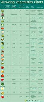 Pin By Shauna Walvatne On Edible Gardening When To Plant