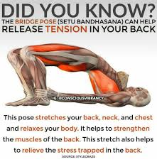Yoga Bridge Pose For Posture And Stress Release Exercise Yoga Postures Yoga Poses