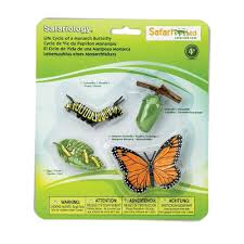 Download Life Cycle Of A Monarch Butterfly Safariology Safari Ltd
