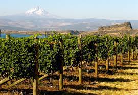 8866 hwy 14, wishram, wa 98673; Tasting Room Host Gorge Net Classifieds