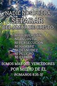 55 Ideas De Romanos Romanos Versiculos Biblicos Palabra De Vida