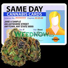 On the night of friday, june 30th, 2017, the clock struck midnight and the calendar flipped to july 1st. Same Day Cannabis Cards In Las Vegas