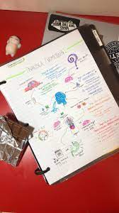 Izinformed Emesis Notes Notes Emt School