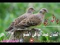 حالات واتساب اداء الفنان عوض الله عيسى ود كادوس 2020م mp3. Mp4 ØªØ­Ù…ÙŠÙ„ Ø§Ù„ÙÙ†Ø§Ù† Ø¹ÙˆØ¶ Ø£Ø¨ÙˆØ­Ø¬Ø§Ø± Ø¹Ù‚Ø¯ Ø§Ù„Ø³Ù…Ø§Ø­ ÙƒÙ„Ù…Ø§Øª ÙŠÙˆØ³Ù Ø§Ø¨Ùˆ Ø§Ù„Ø¨Ù†Ø§Øª Ø£ØºÙ†ÙŠØ© ØªØ­Ù…ÙŠÙ„ Ù…ÙˆØ³ÙŠÙ‚Ù‰