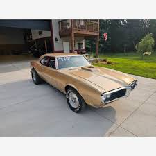 Image result for Primavera Beige 1968 Firebird