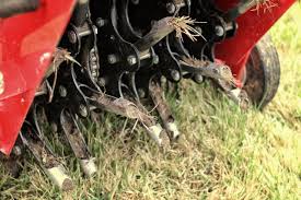 Lawn soil can also be hard because it has been compacted over time. How To Aerate Your Lawn Hgtv