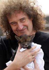 I've sent an email to the 'save me ' trust , to try and get Brian May