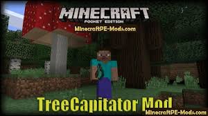 Abre la app store en iphone y ipad, o la google play store en android. Minecraft Pe Hacks 2021 Mods For Mcpe Ios Android 1 18 0 1 17 40