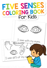 This produce includes 16 coloring pages about the five senses. Five Senses Coloring Book From Abcs To Acts