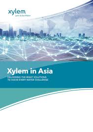 Xylem In Asia