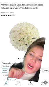 Members Mark Spray Roses