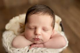 Dee Hoehn Photography