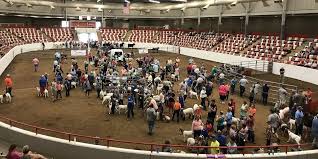 L D Brown Ag Expo Center Western Kentucky University