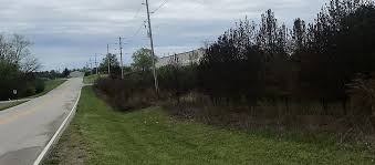 How ProtecTerra LLC Uses Selective Herbicides for Utility ROWs