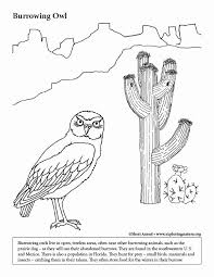 Printable Desert Animal Coloring Pages Luxury Learn About And Color Animals On Exploringnature Owl Coloring Pages Bird Coloring Pages Dog Coloring Page