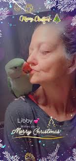 MERRY CHRISTMAS BIRDGANG ENJOY & BE SAFE... #Cards4Life