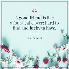 Happiness is meeting an old friend after a long time and feeling that nothing has changed. 120 Friendship Quotes Your Best Friend Will Love Proflowers
