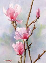 Pin By Darline Handley On Art Mostly Watercolors Watercolor Flowers Paintings Watercolor Flowers Flower Painting I don't think anyone would disagree, even those who don't particularly like to paint flowers, that there are some stunning.